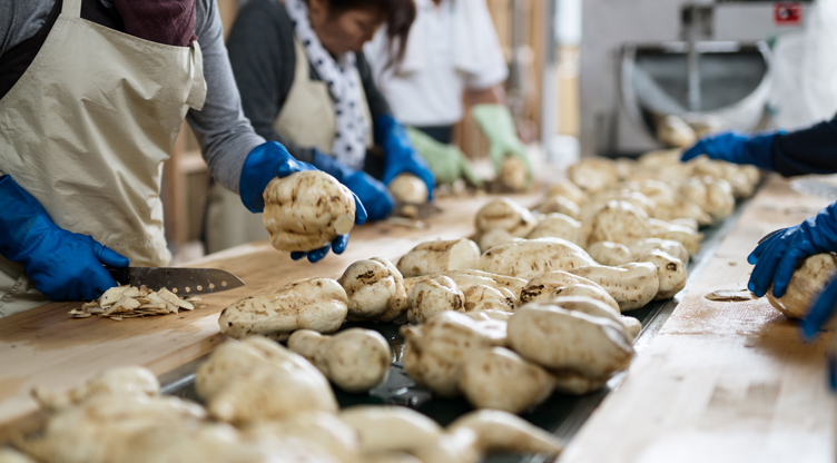 Checking Sweet Potatoes