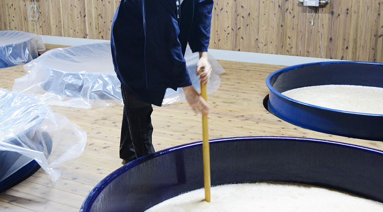 Fermentation Room